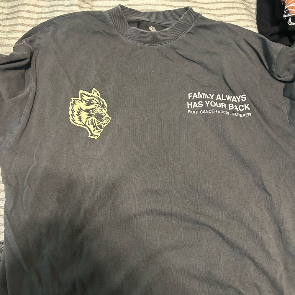 Gray Graphic T-Shirt with Wolf Design